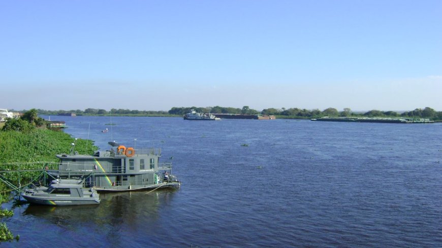 Rio em Ladário chegou a 1,27 metro: Chuvas podem favorecer recuperação do rio Paraguai e trazem perspectiva para o Pantanal