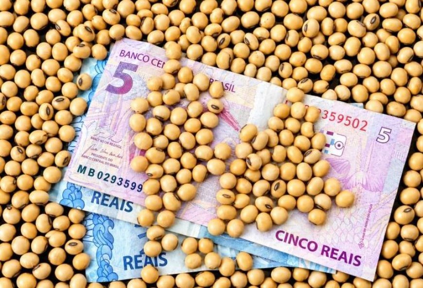 STF considerou inconstitucional a cobrança: Produtores rurais podem contestar dívidas do Funrural anteriores a 2018