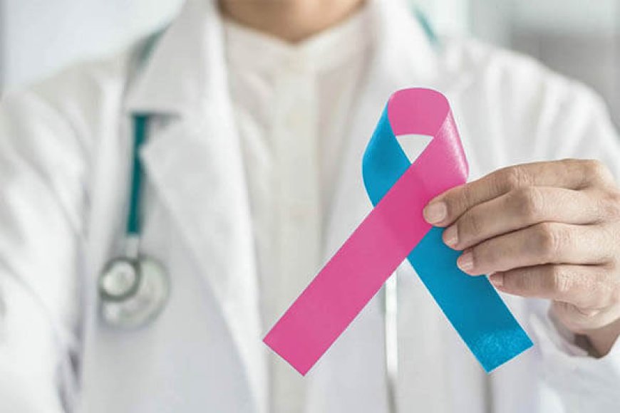 Prefeitura encerra Outubro Rosa e lança Novembro Azul no Horto Florestal