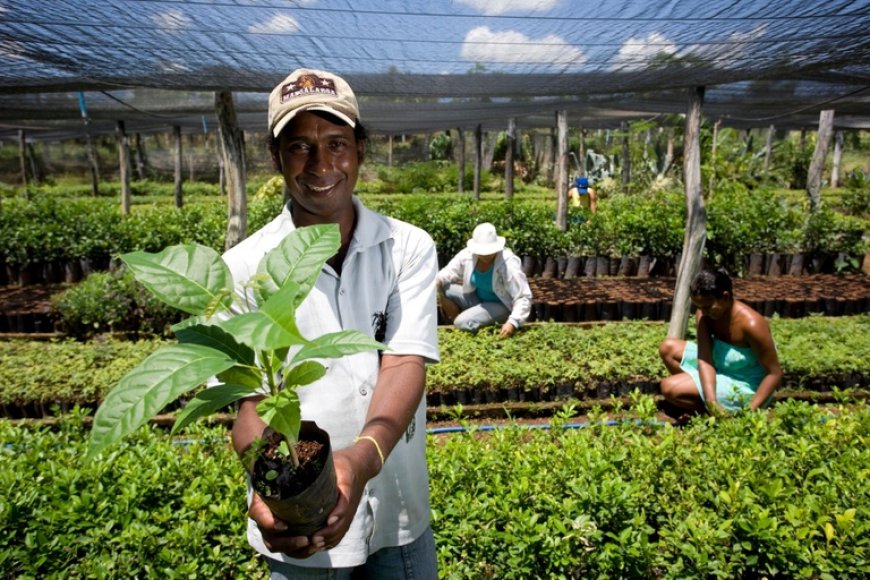 Dados: MS soma R$ 4,2 milhões em contratos com MEIs e agricultores familiares